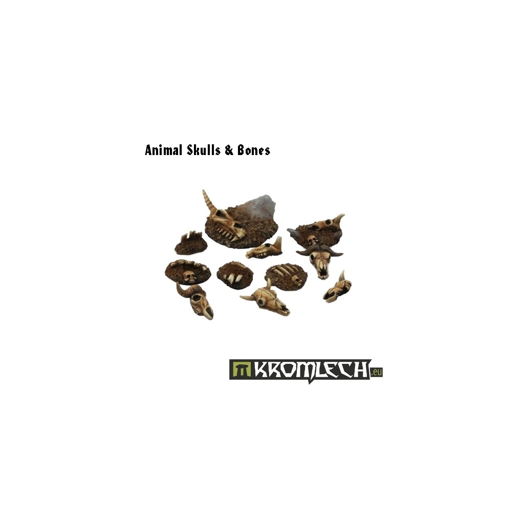 Animal Skulls & Bones