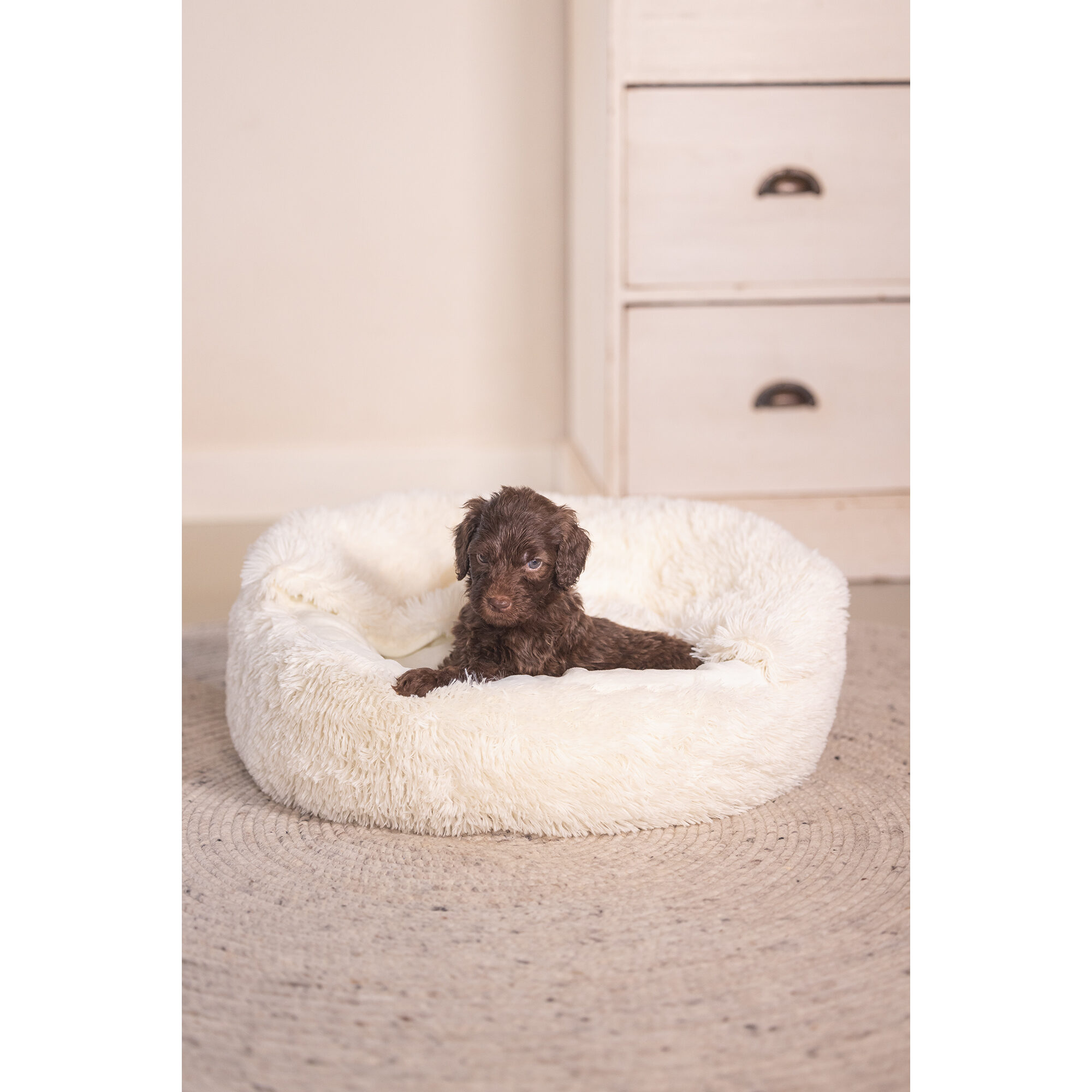 Beeztees Puppy Ligbed Kiki