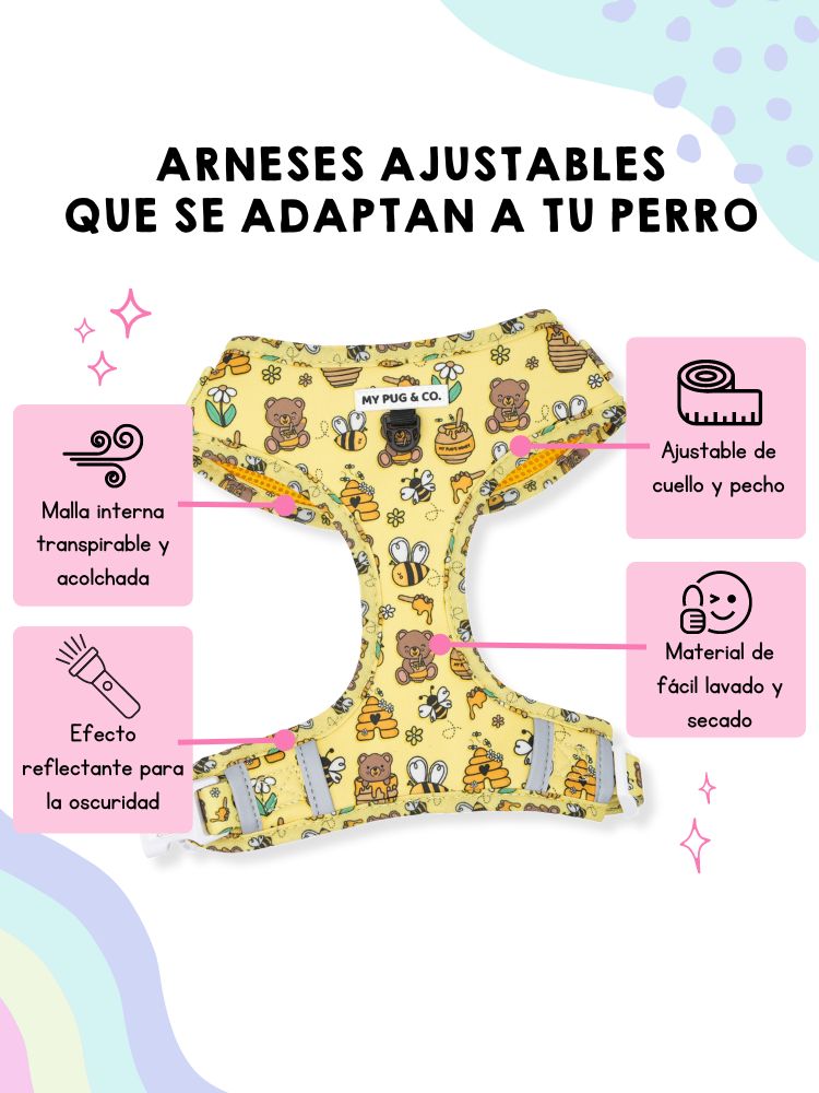 Coleira ajustável Honey