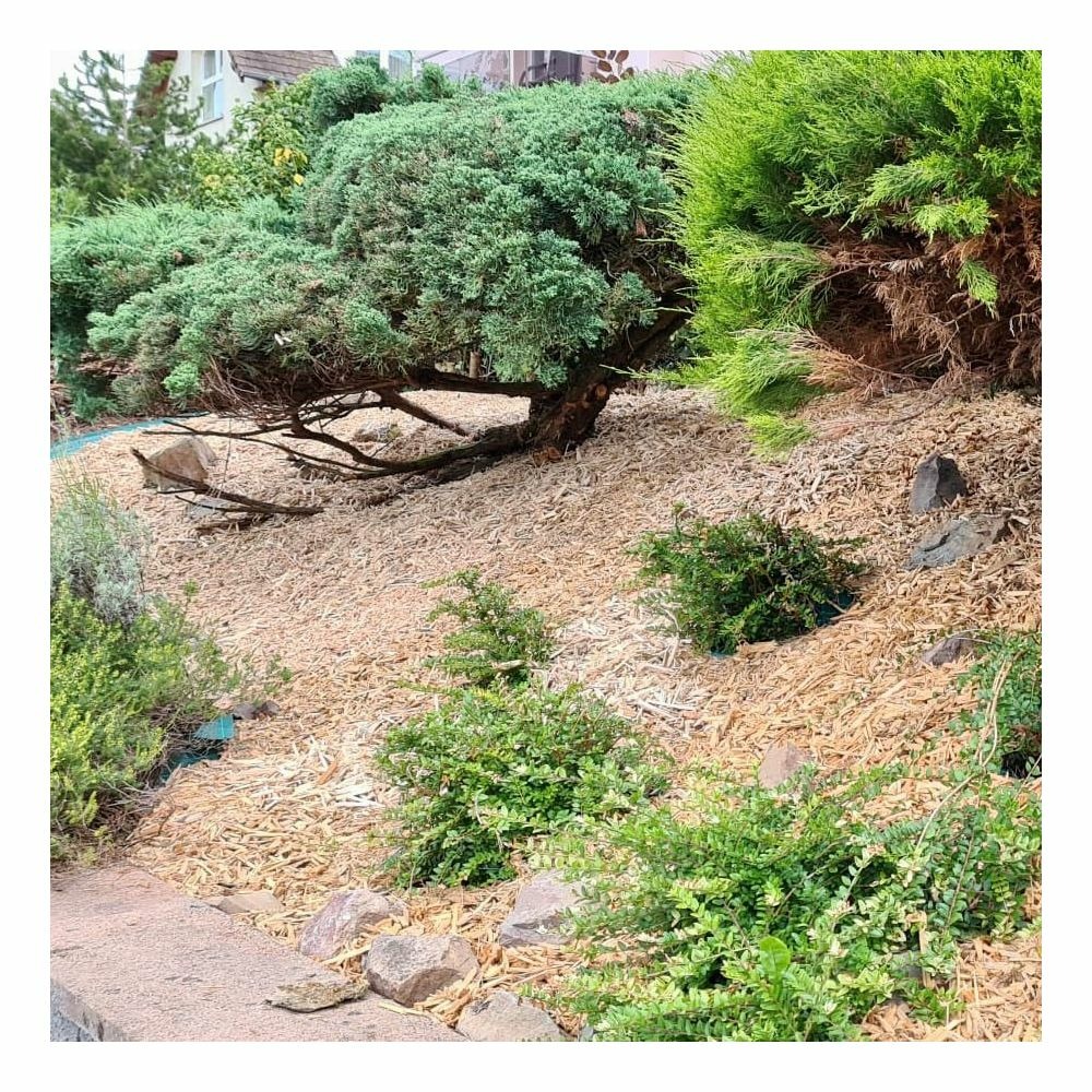 Mulch paillage couvre sol 125 litres