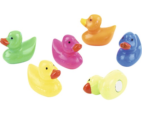 Decoratieve eendenmagneten, set van 6, diverse kleuren