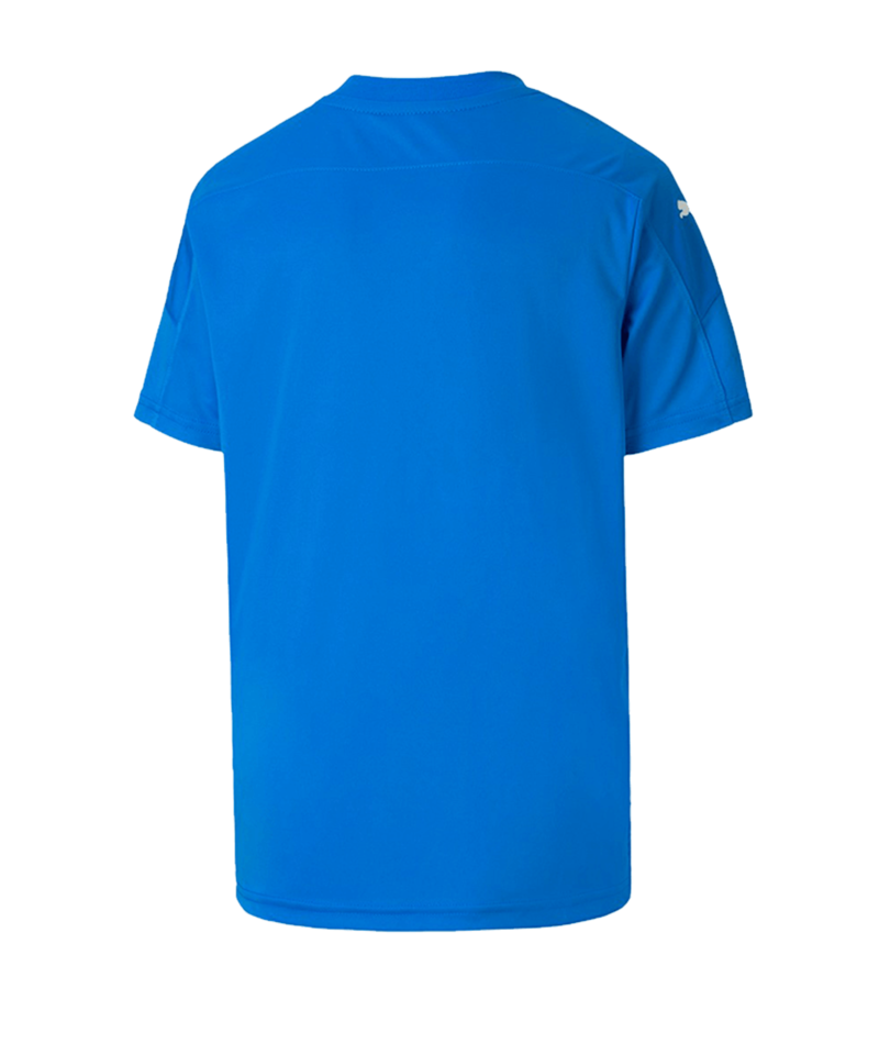 PUMA teamFINAL 21 Graphic Trikot kurzarm Kids F02