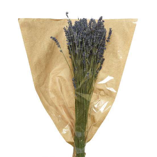Bouquet de lavande séchée H.50 cm violet