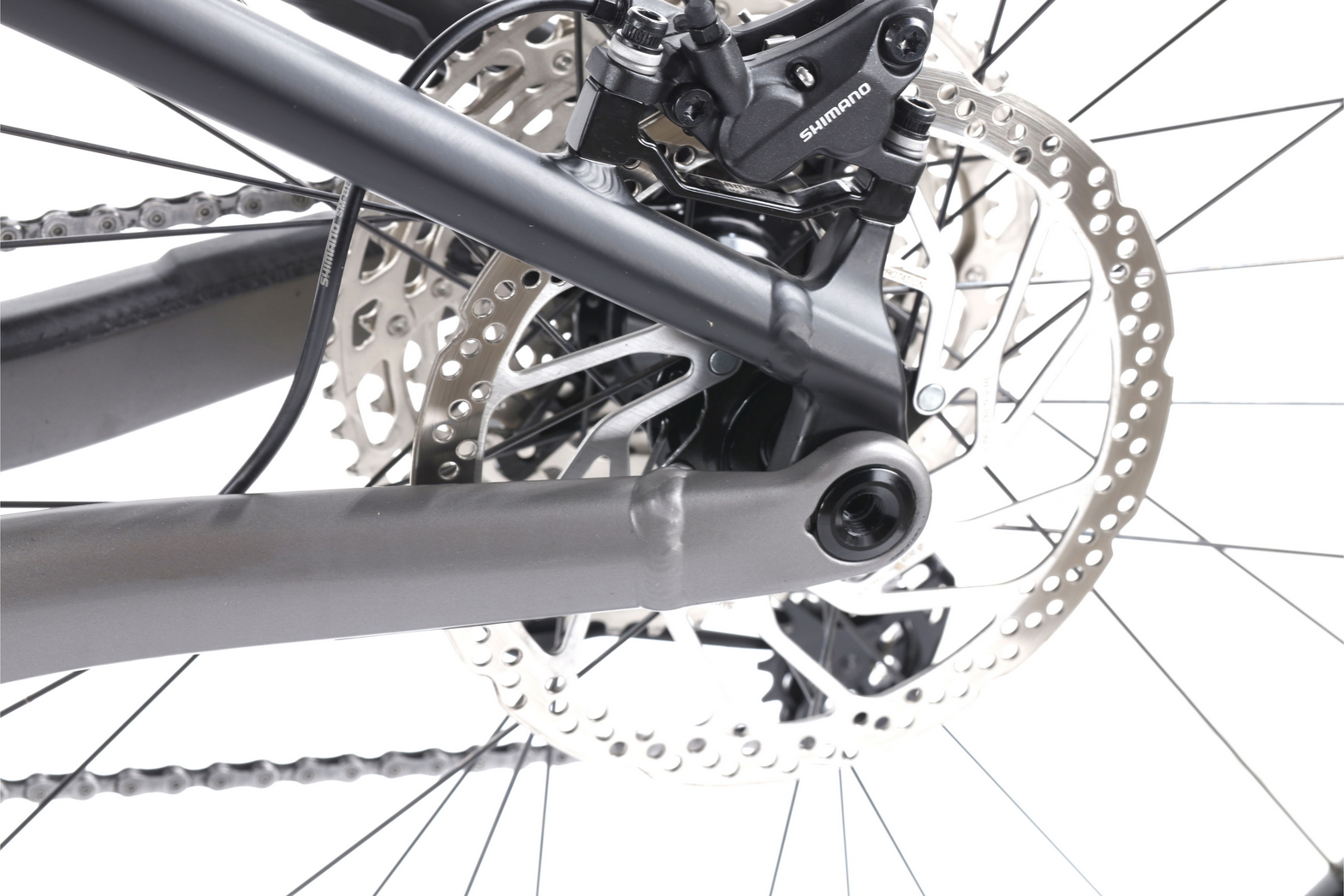 Orbea Wild FS H30 (2022) | Diamond