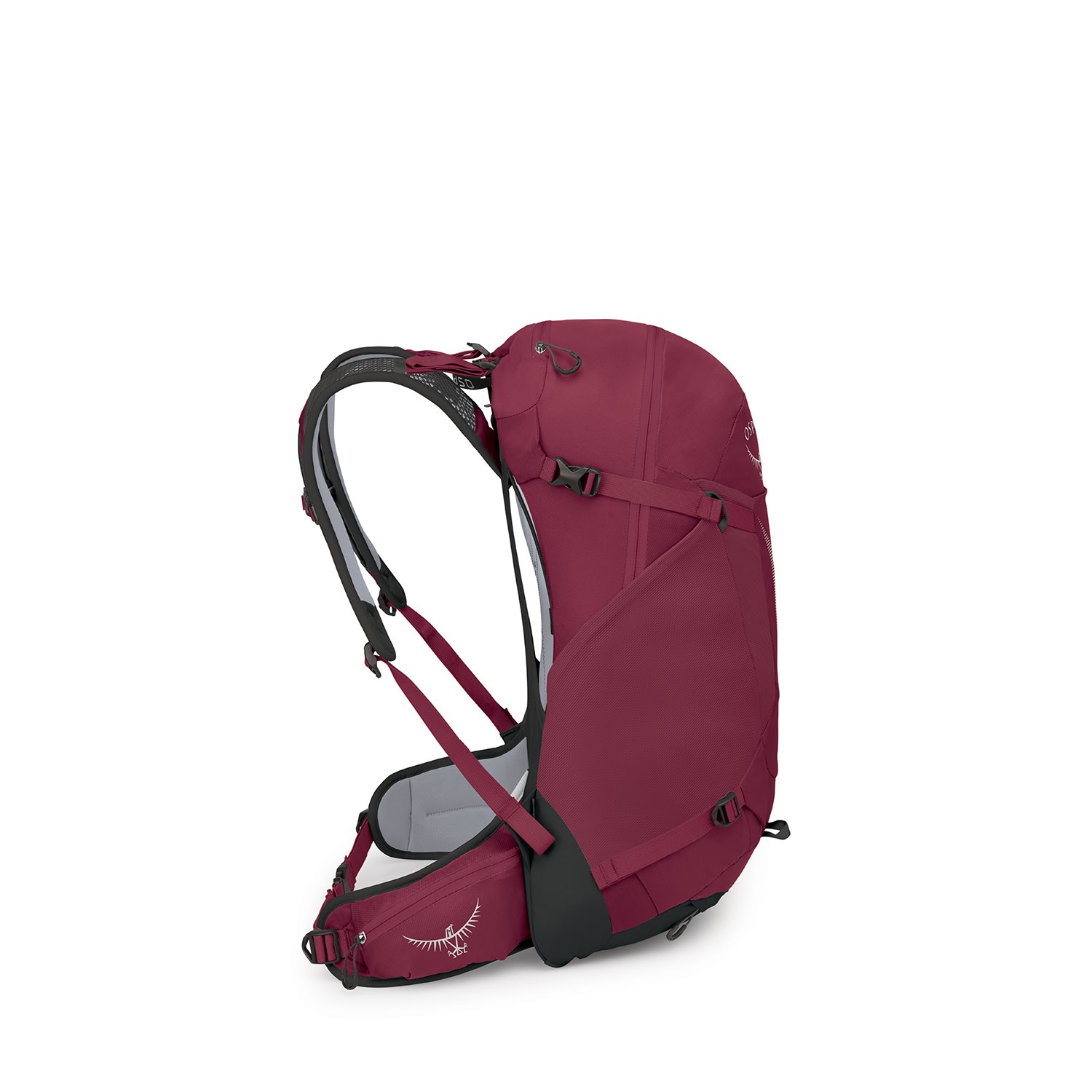 Osprey Hikelite 28 S-M chameleon-black