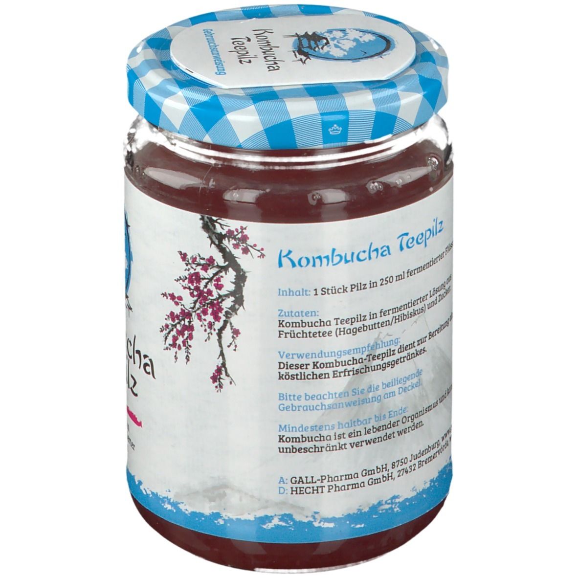 GALL PHARMA Kombucha Teepilz