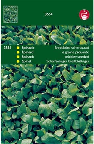 groentezaad Spinazie breedblad scherpzaad zomer (Spinacia oleracea)