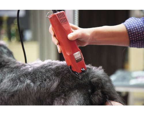 Clipper KERBL Favorita Speed 230 V