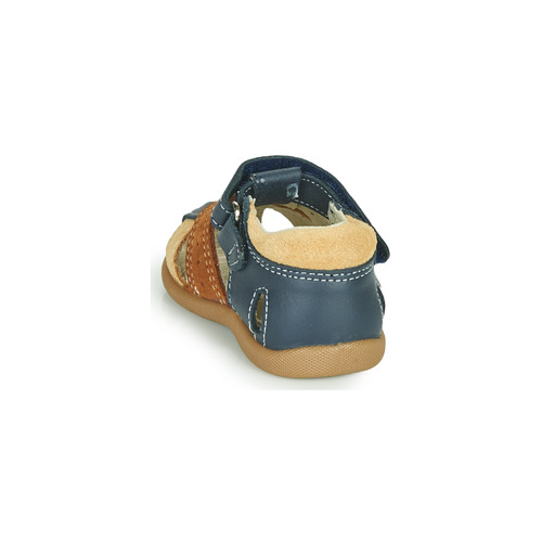 Citrouille et Compagnie - OLOSS - Bleu / Marron