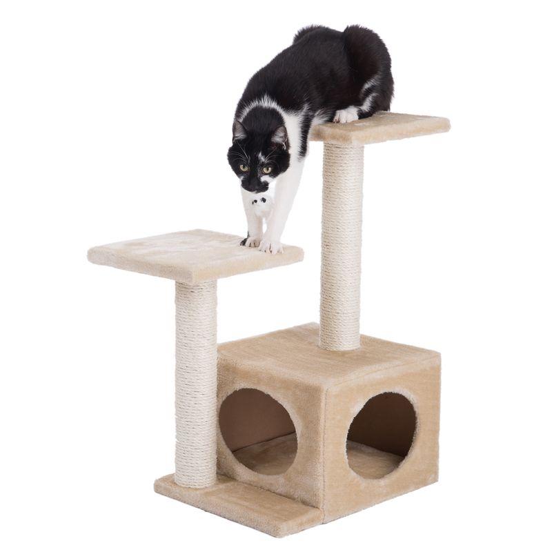 Arbre à chat Oase