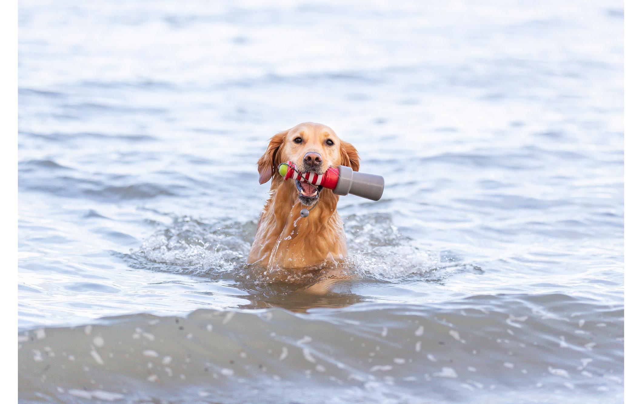 Schwimmspielzeug Aqua Toy Leuchtturm 26 cm, Orange, GrauWasserspielzeug für Hunde aus thermoplastischem Gummi