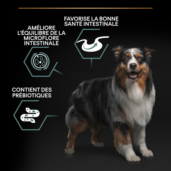 Croquettes chien adulte digestion difficile à l'agneau - 14 kg