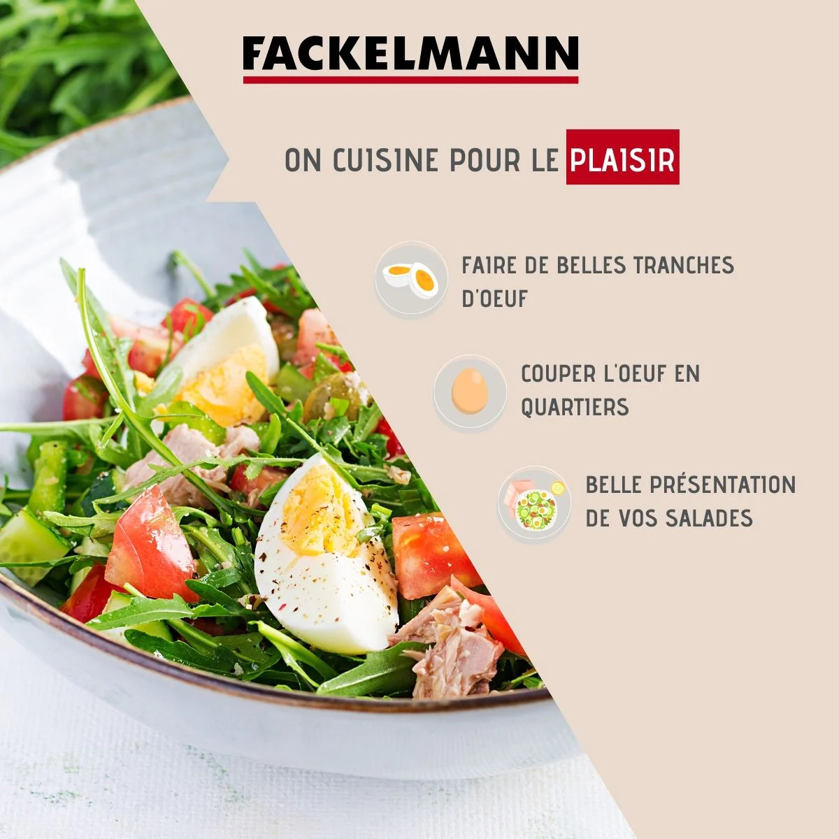 Coupe oeuf 2 en 1 Colors Edition Fackelmann
