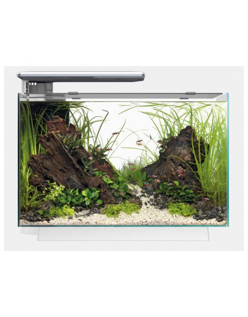 Superfish Quadro 70 Pro - Aquaria