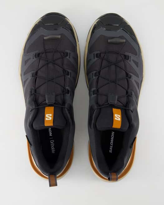 Salomon X Ultra 360 GTX Sportschuhe in Grau