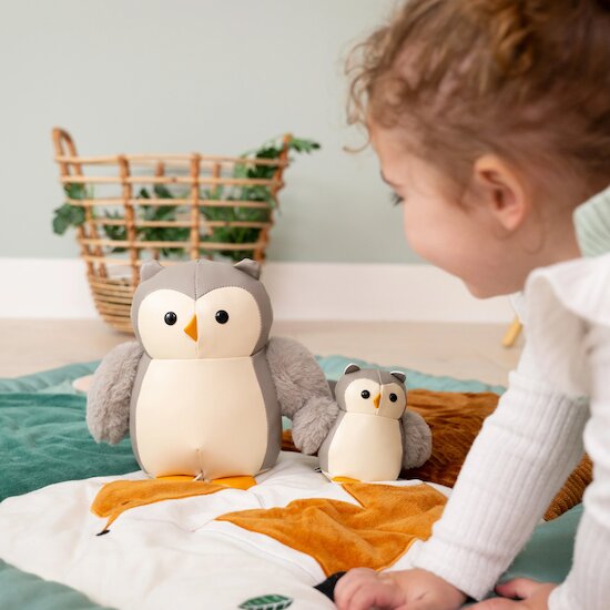 Hochet les petits animaux   Colette la chouette        de               Little Big Friends