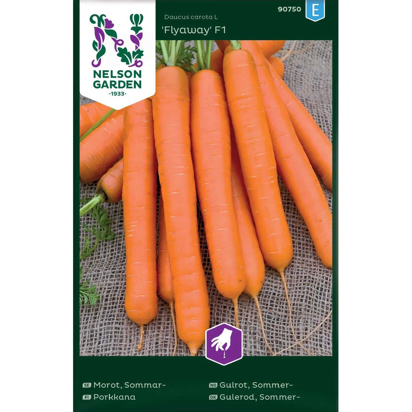 Daucus carota  'Flyaway' Sommergulrot 'Flyaway'