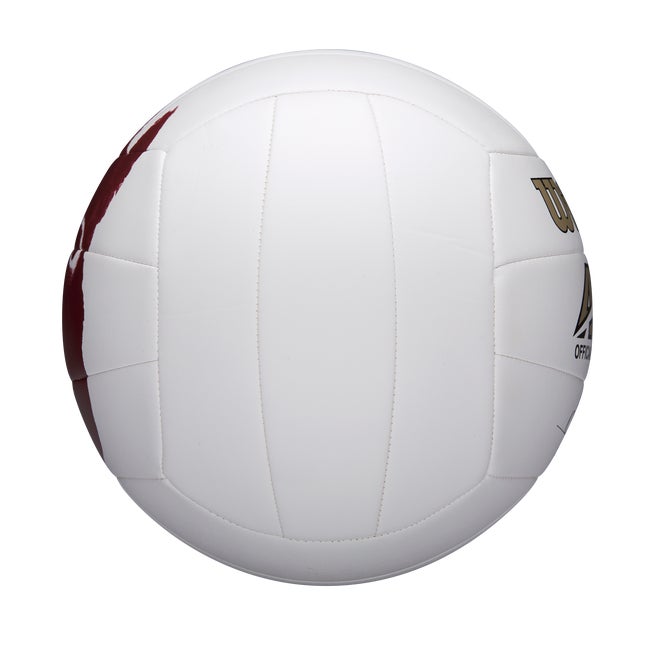Cast Away Volleyball