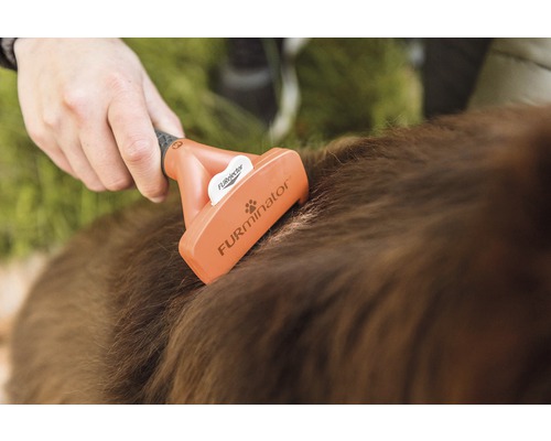 Kam FURminator hond deShedding M lang haar