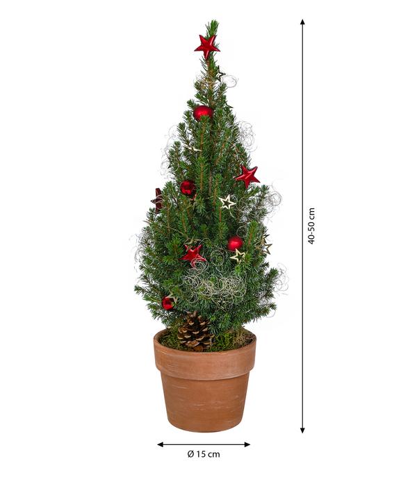 Geschmückter Weihnachtsbaum Terra