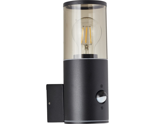 Sensorgestuurde buitenwandlamp, 1-lichts, Sergioro, zwart/gerookt glas