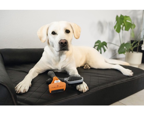 Kam FURminator hond deShedding M korthaar