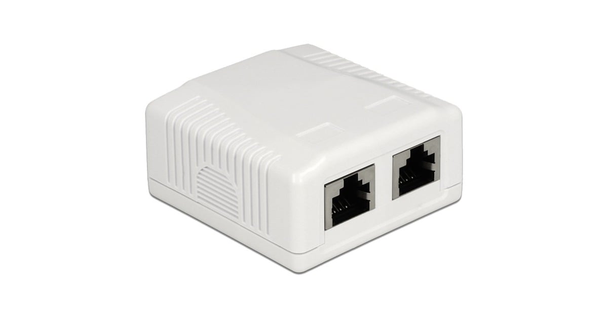 DeLOCKNetwork Wall Outlet 2 Port Cat.6A LSA montagedoos  (Wit)