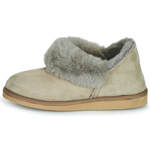 Shepherd - KARIN Gris