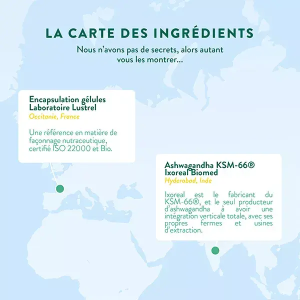 Nutri&Co Ashwagandha Bio Sommeil Stress et Masse Musculaire 120 gélules