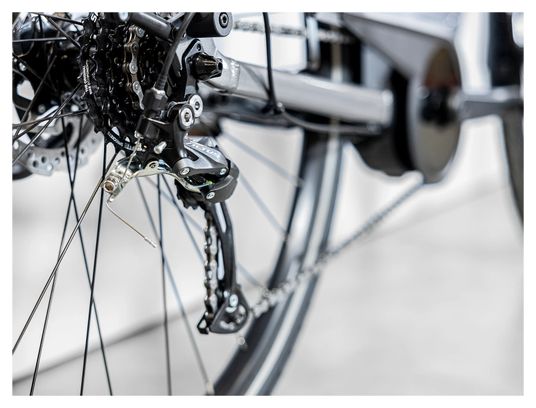 Vélo de Ville Électrique Trek Verve  1 Lowstep Shimano Tourney/Altus 8V 400 Wh Gris