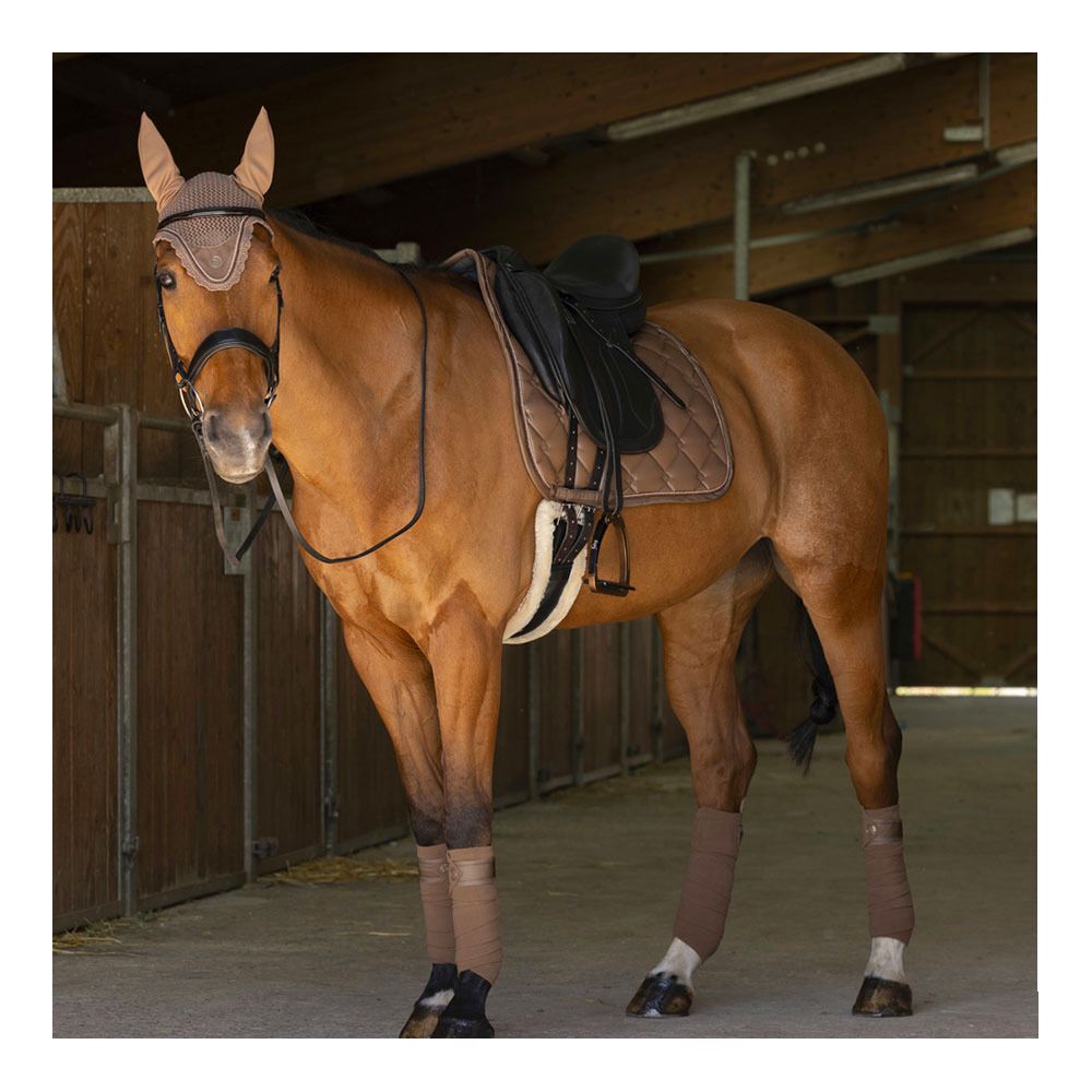 Equitheme OSLO - Tapis de dressage marron