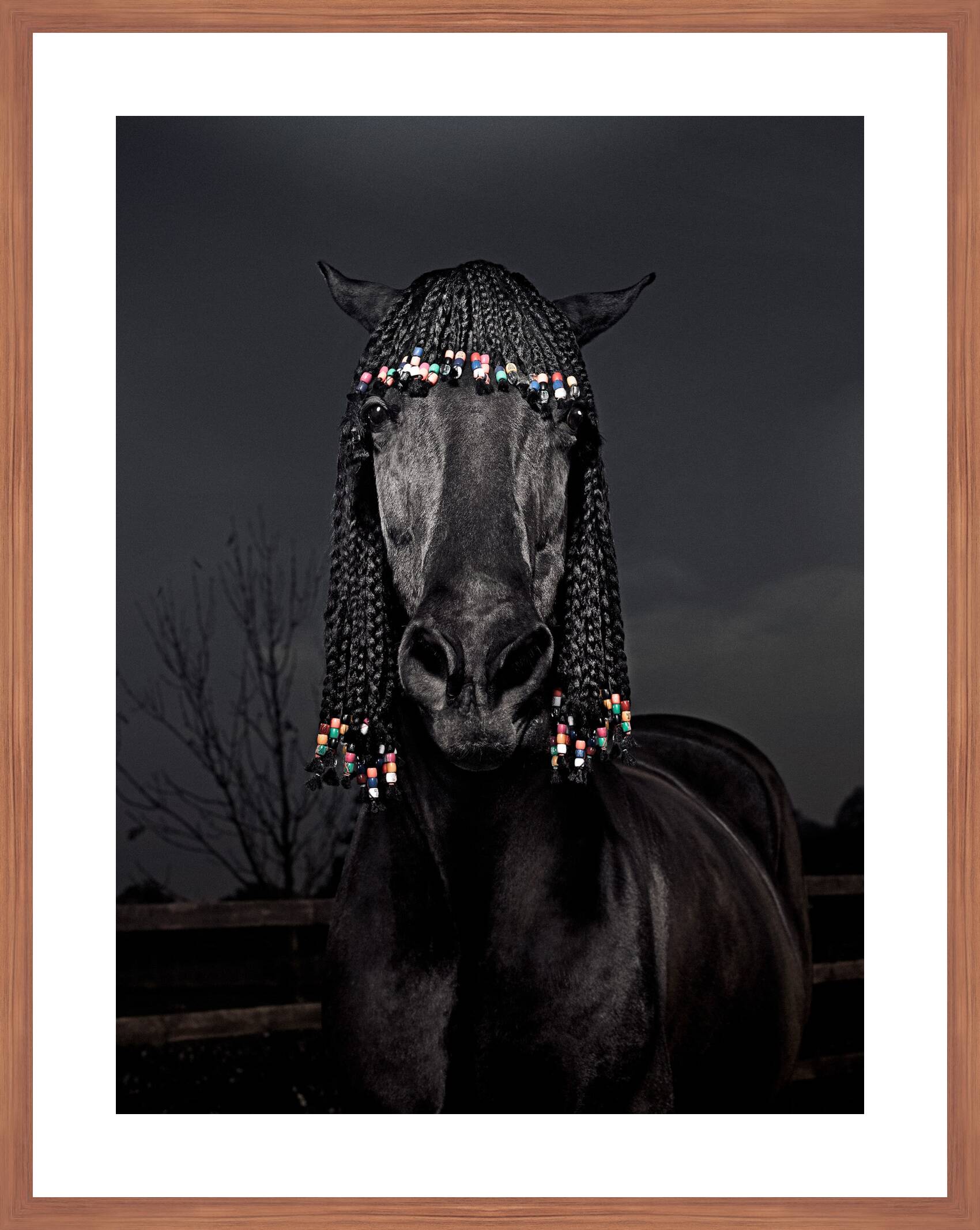 Harmony by Julian Wolkenstein - Limited Edition. Edition of: 150. Signed.