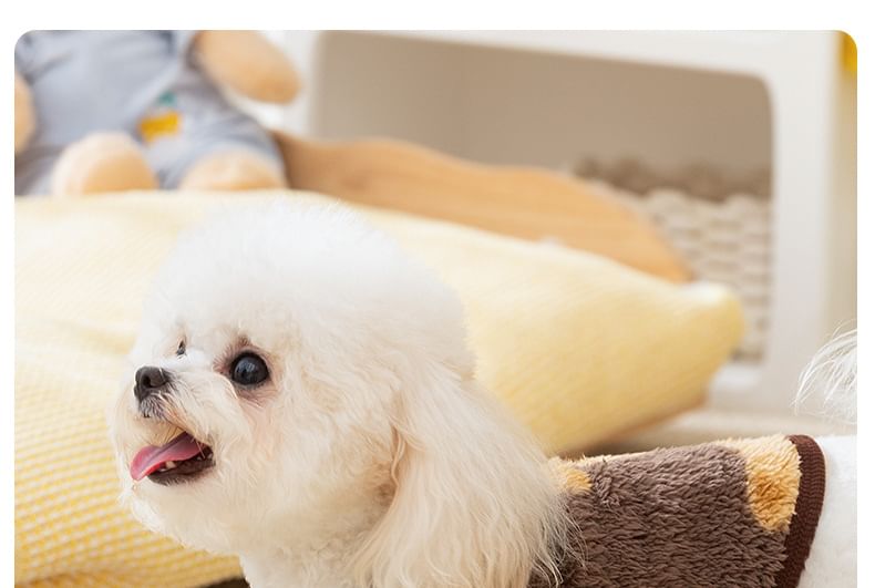 Cissilli - Bear Chenille Pet Top