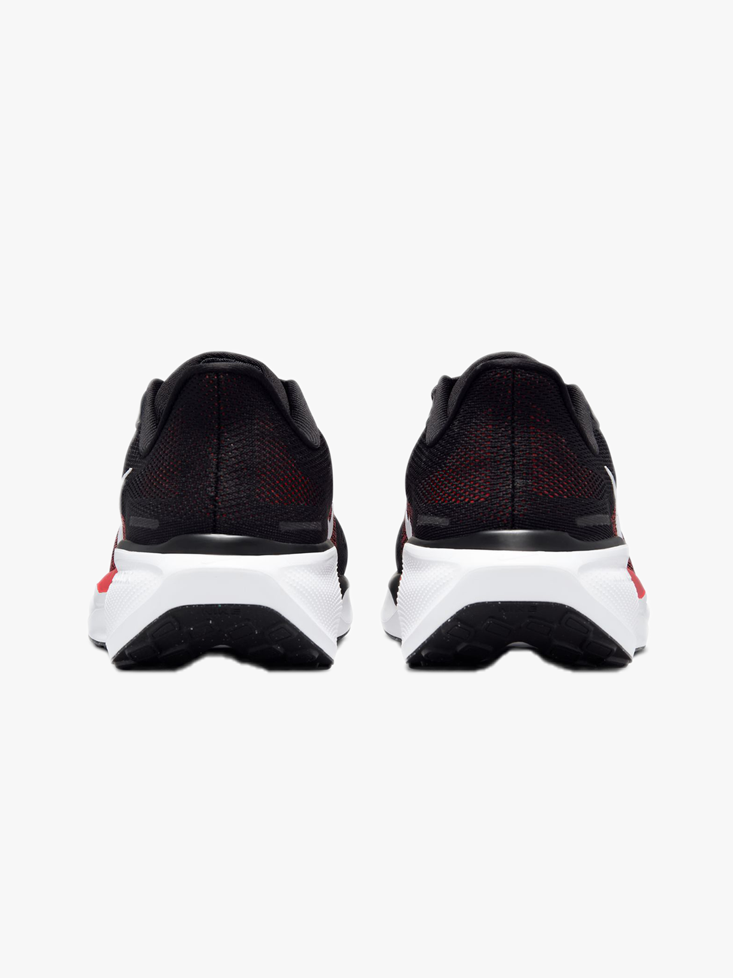 Pegasus 41