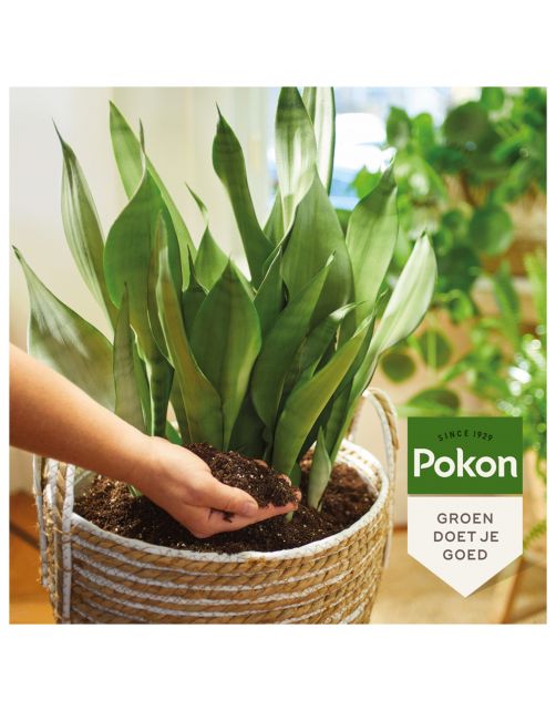 Pokon Bio Potgrond Kamerplanten Turfvrij - Potgrond Turf - 10 l