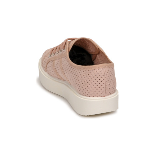 Victoria -  - Rose
