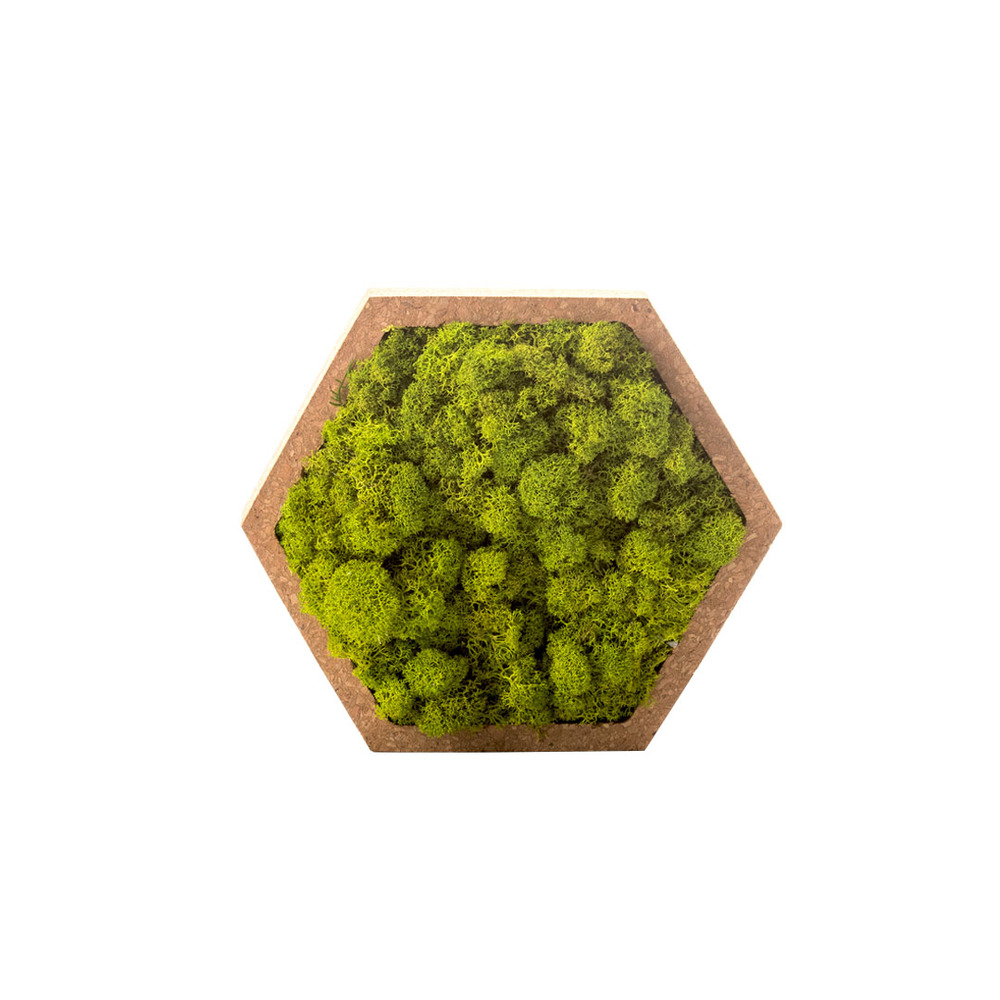Stab lichen hexagonal vert 16 x 16 cm