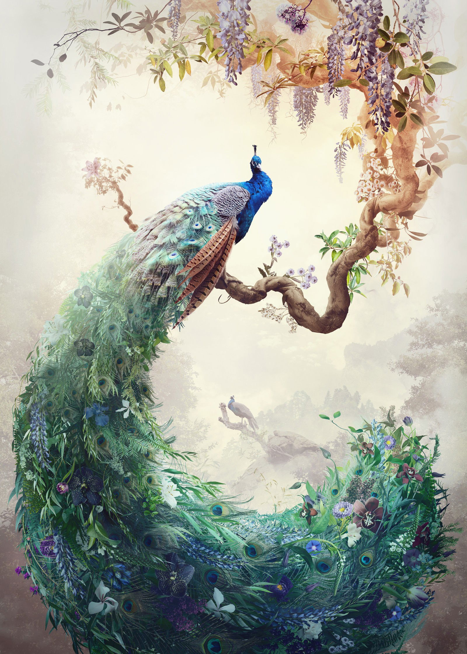 Clairvoyant by Jesper Krijgsman - Limited Edition. Edition of: 150. Signed.