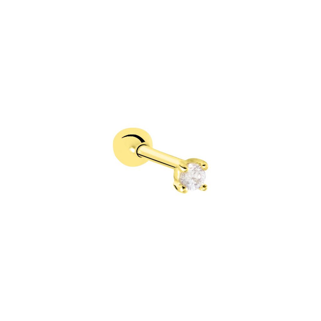 Piercing Androsace Or Jaune Oxyde