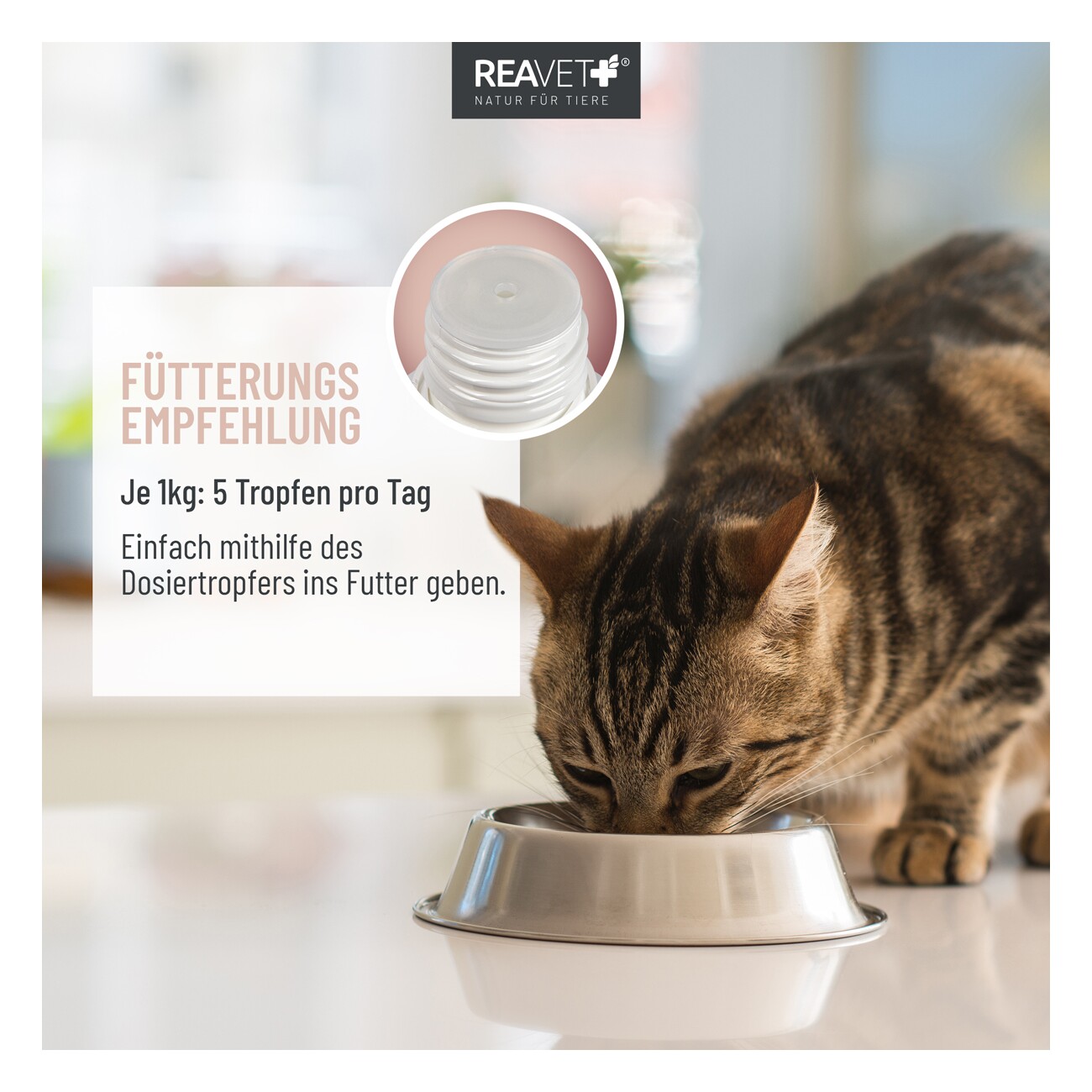 REAVET Darmöl Katzen 50ml