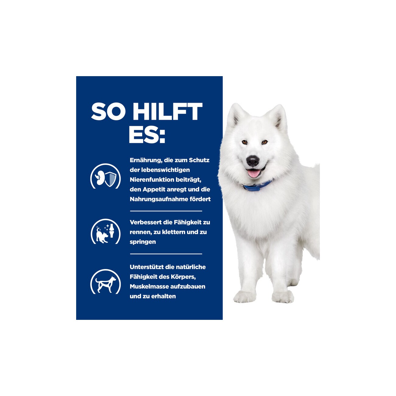 Hill's Prescription Diet k/d + Mobility 12 kg