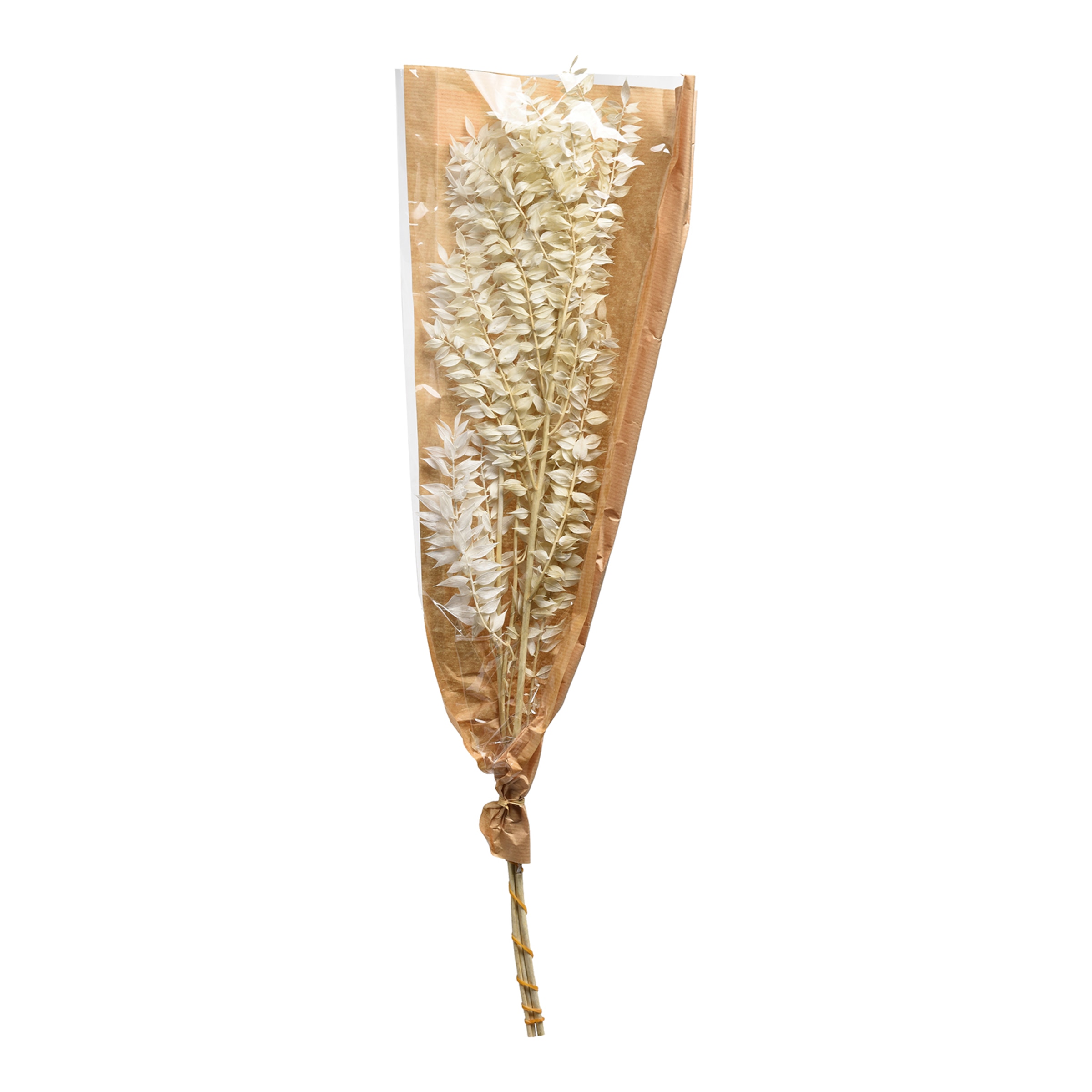 creme, L 70 cm