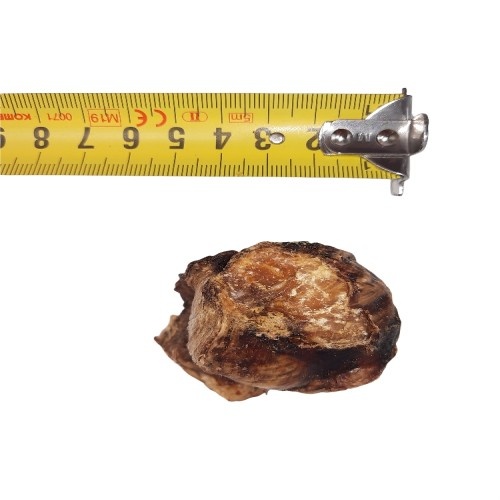 Cubos de carne Dognia para cães