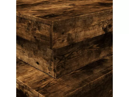 Table basse avec lumières LED chêne fumé 90x50x40 cm