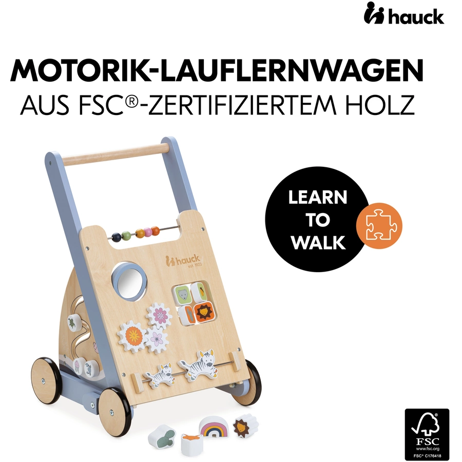 hauck Lauflernwagen Learn to Walk Skills