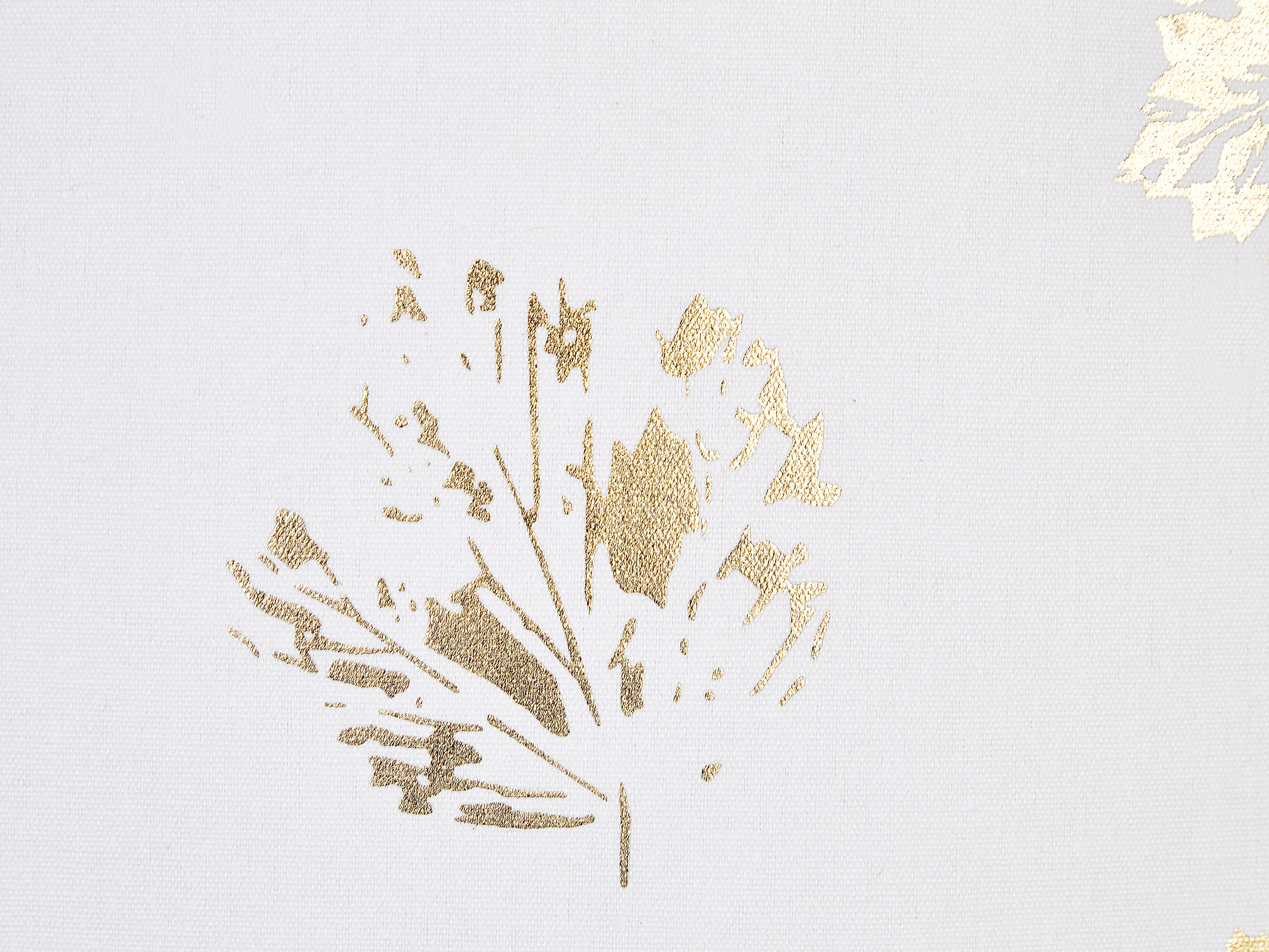 Set van 2 sierkussens GOLDENROD Fluweel 45 x 45 cm Wit bladpatroon