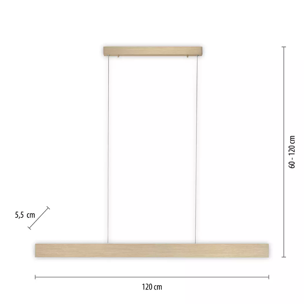LED-Pendelleuchte Pure-Motion