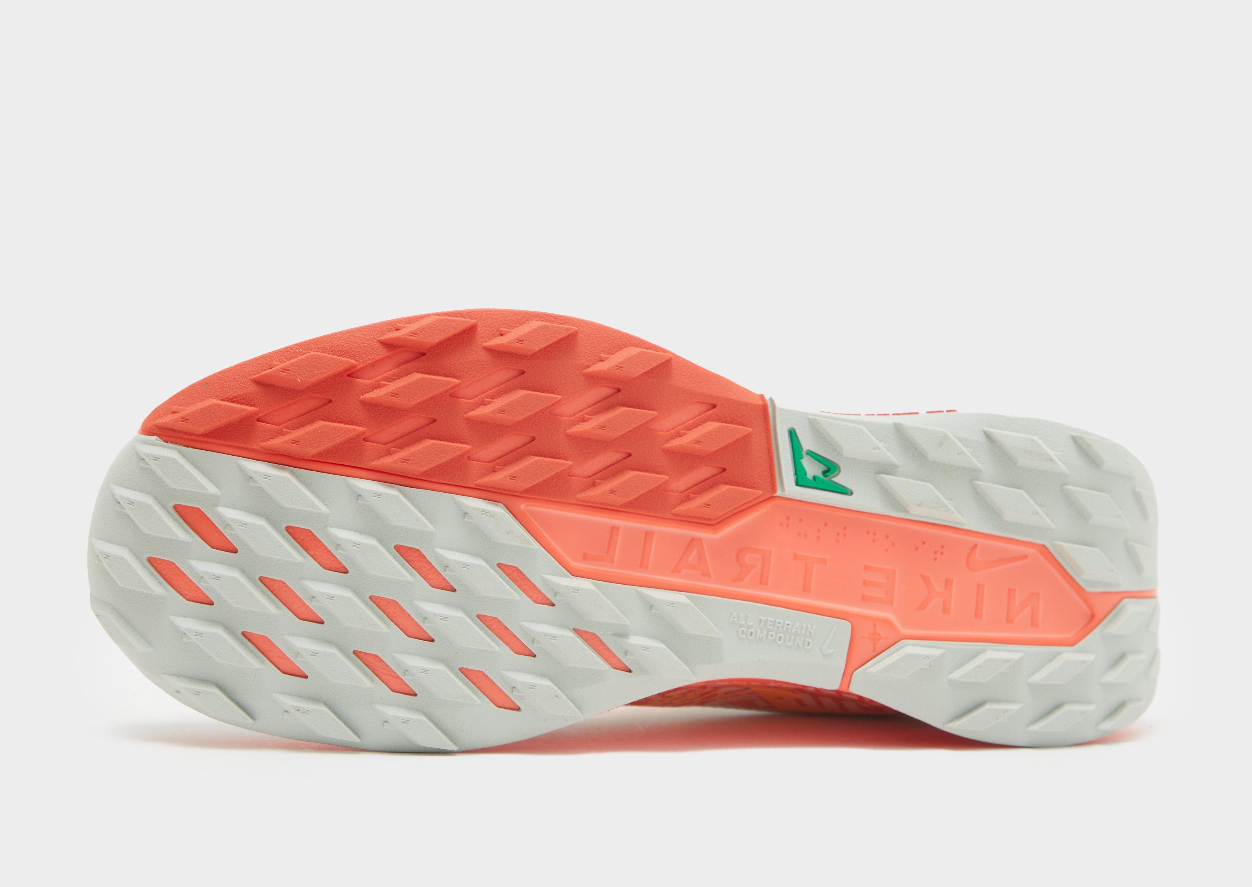 Nike Pegasus Trail 5 GORE-TEX Homme