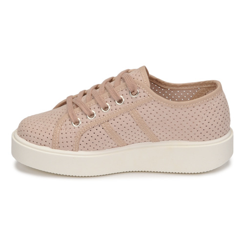 Victoria -  - Rose