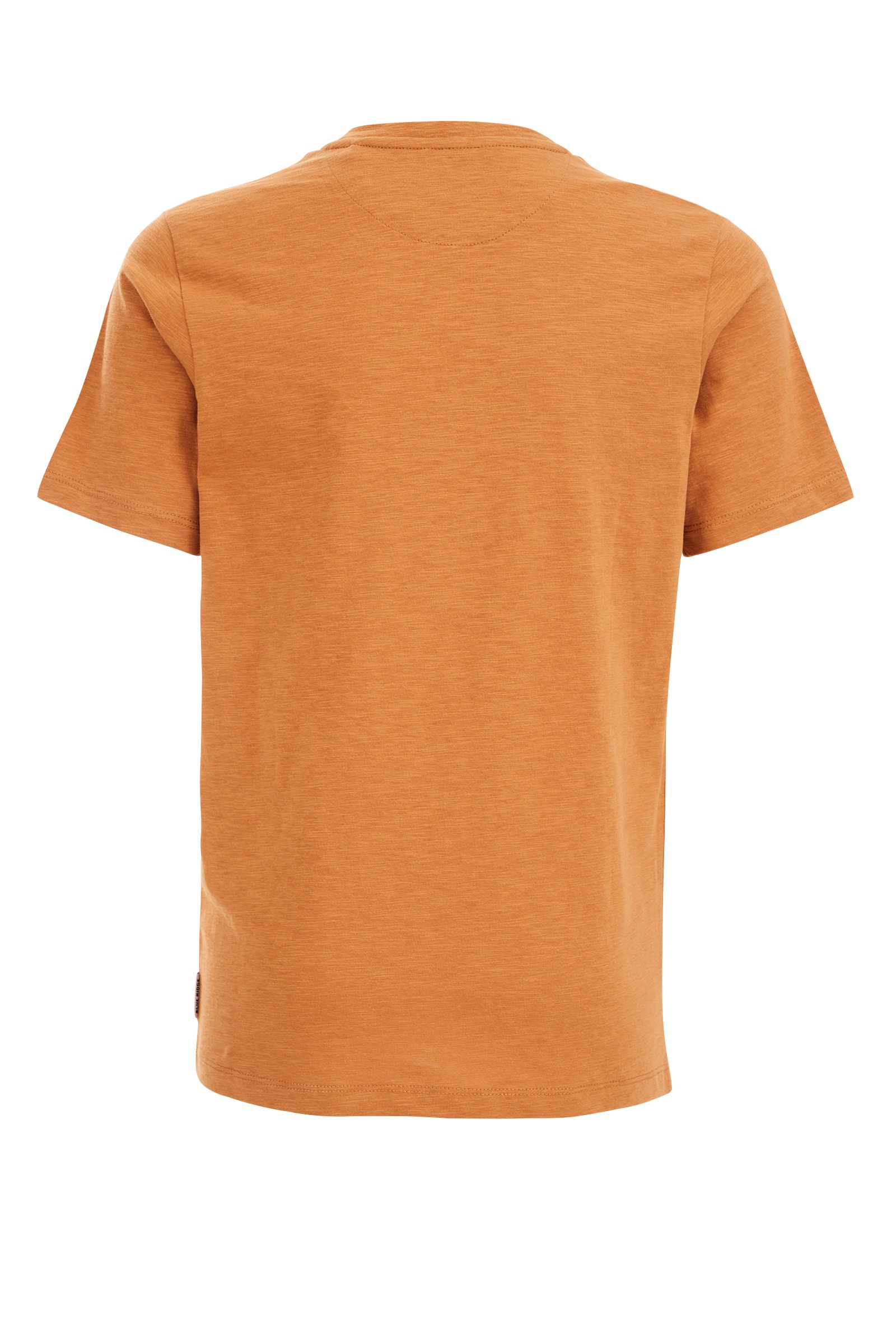 Jongens T-shirt WE Fashion Caramel